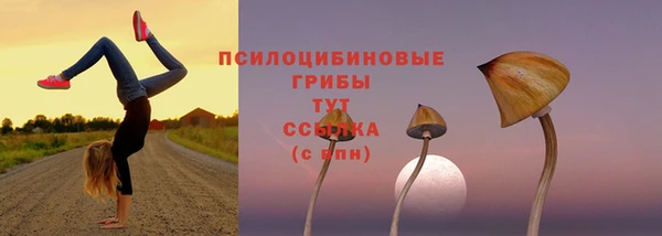 амф Аркадак