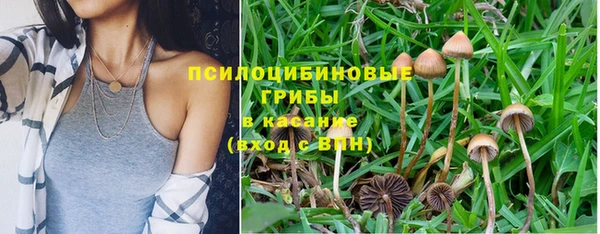 мескалин Рославль