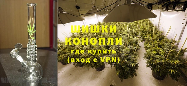 амф Аркадак
